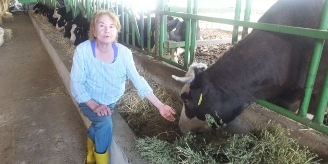 Burhaniye’ De Bayan Mühendis Damızlık Üretimine Başladı