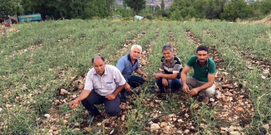Erdemli’nin Yüksek Kesimlerini Dolu Vurdu
