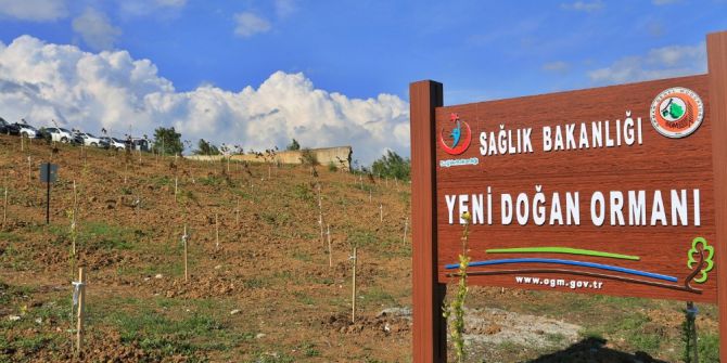 “Yeni Doğan Ormanı” Sinop’ta Filizlendi