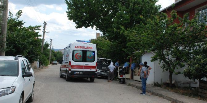 Ağaçtan Düşen Adam Yaralandı