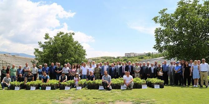 Tokat’ta 12 Bin Adet Tüplü Asma Fidanı Dağıtıldı