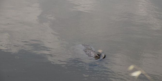 Derede Ölü Bulundu