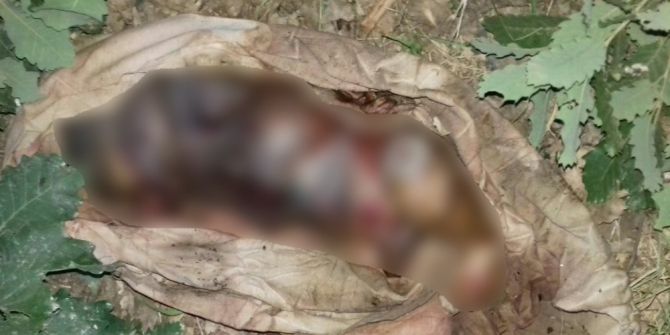 Şemdinli’de Yeni Doğmuş Erkek Bebek Cesedi Bulundu