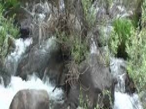 Bingöl Bilaloğlu Köyü