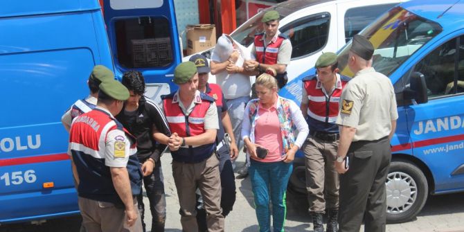 Tekirdağ’da 5 İlçede Hayvan Hırsızlığı: 3 Tutuklama