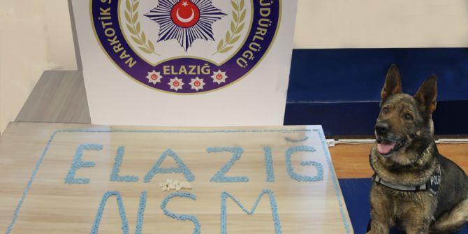 Ayakkabıda Kokain, Kutusunda Ecstasy Ele Geçirildi