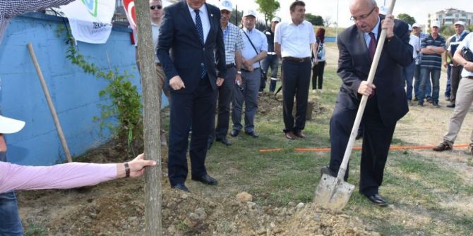 Tekirdağ’da Ağaçlandırma Etkinliği