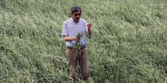 Sivas’ta Tarlaları Dolu Vurdu