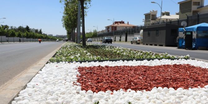 Elazığ Caddesinde Peyzaj Çalışması Başladı