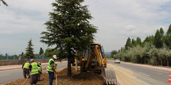 Seydişehir’de Damlama Sulama Hattı Yenileme Ve Çimlendirme Çalışması