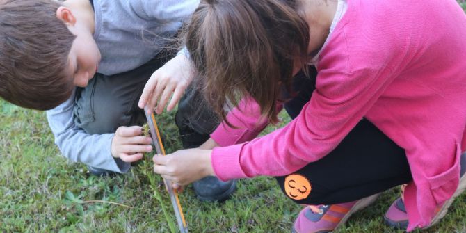 Çocuklar Salep Orkideleriyle Tanıştı