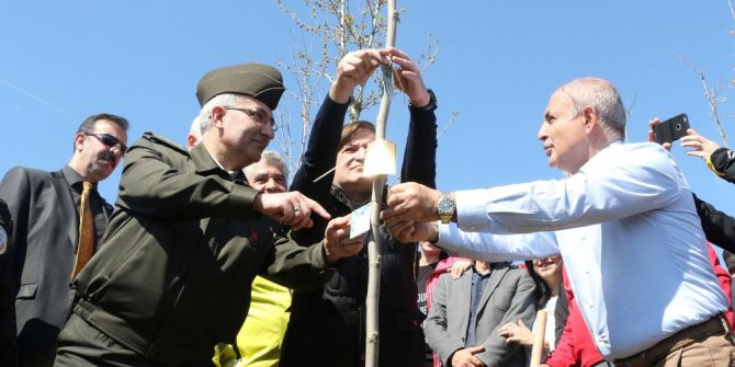 Büyükçekmece’ye Bereket Ve Barışın Simgesi Zeytin Ağaçları Dikilecek
