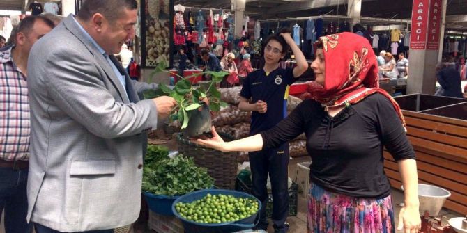 Alaplı İlçe Merkezine Çok Amaçlı Hizmet Alanı Yapılacak
