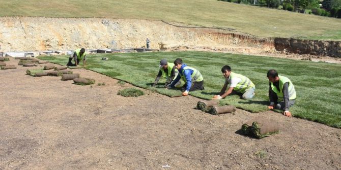 Güreş Alanına Çim Seriliyor
