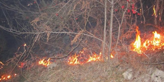 Orman Yangını Uyarısı