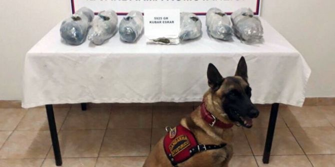 Otomobilin Döşemesinden Esrar Çıktı