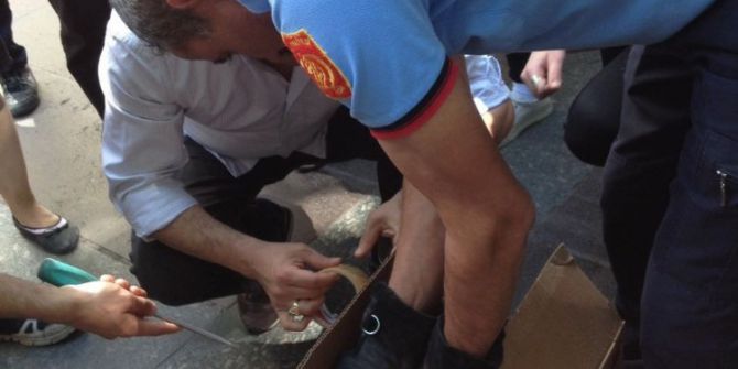 Yürüyen Merdivene Sıkışan Kediyi İtfaiye Kurtardı