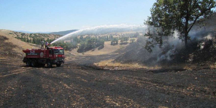 Hisarcık’ta Arazi Yangını