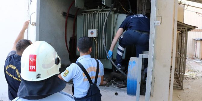 Hırsızlık Amacıyla Girdiği Trafoda Ölümden Döndü