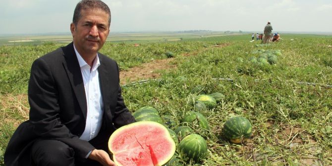 Adana’da Karpuz Hasadı Başladı