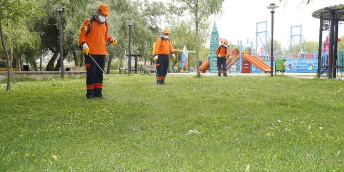 Gölbaşı’nda Sinekle Mücadele Çalışmaları Sürüyor