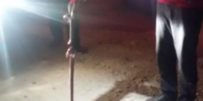 Eve Giren Yılan İtfaiye Tarafından Yakalandı