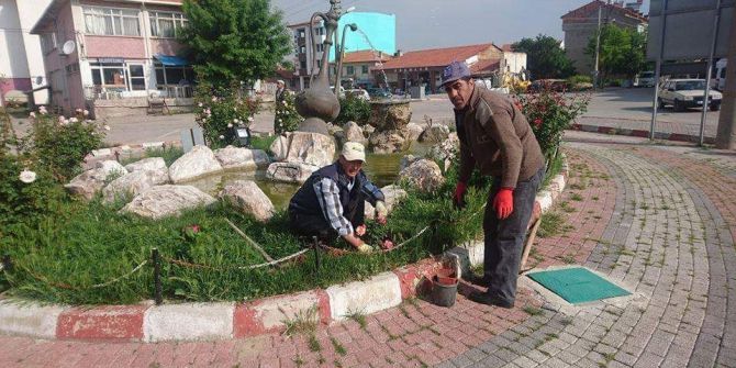 Aslanapa’da Peyzaj Çalışmaları
