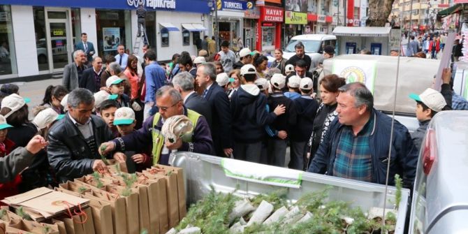 Obm’den Vatandaşlara Ücretsiz Fidan Dağıtımı