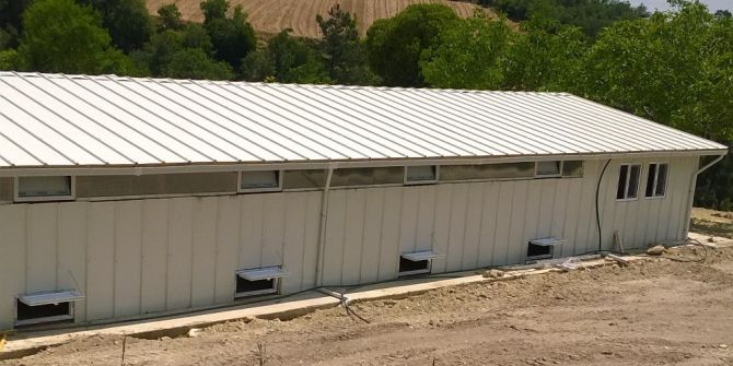 Buldan İlçesinde Organik Yumurta Üretilecek