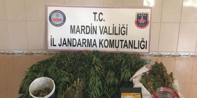 Mardin’de Uyuşturucu Tacirleri Kıskaçta