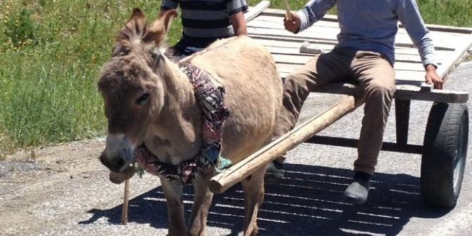 Bu Hayvanlar Varto’da İnsan Gücüne Güç Katıyor
