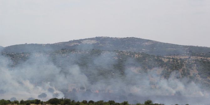 Ezine’deki Yangın Korkuttu