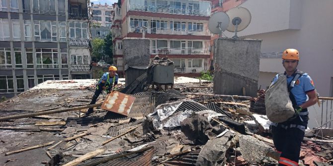 Kore İzin Verdi, Kediler Kurtarıldı