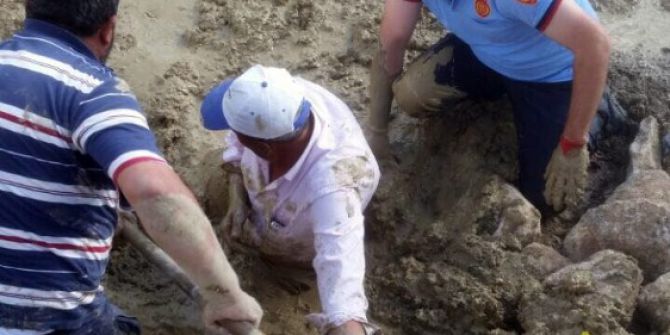 Hayvanlarını Kurtarmak İsterken Kendisi De Çamura Battı