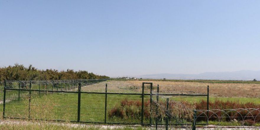 Büyükşehirden 50 Dönümlük Sera Hamlesi