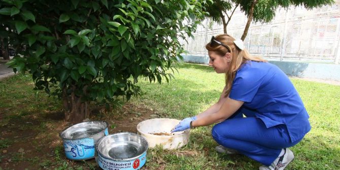 Can Dostlar Bu Yaz Da Susuz Kalmayacak