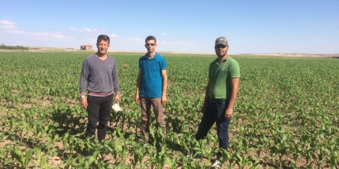 Kulu’da Bin 300 Dekarlık Alanda Silaj Mısırı Kontrolü