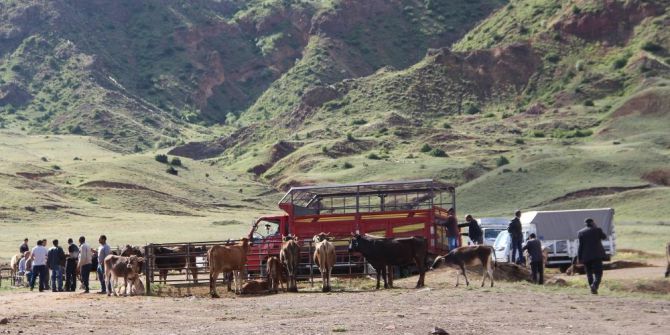 Pazarda Hayvan Var, Alıcı Yok