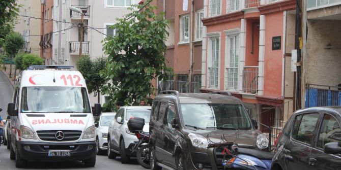 Şişli’de Bonzai Dehşeti