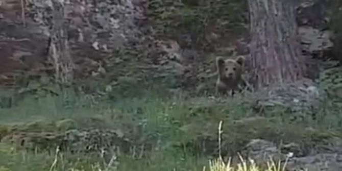 Balık Tutarken Ayı İle Karşılaştılar