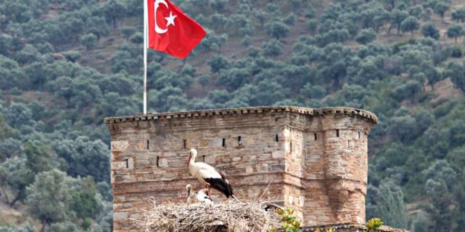 Aydın’da Leylek Sayımı Ve Halkalaması Yapıldı