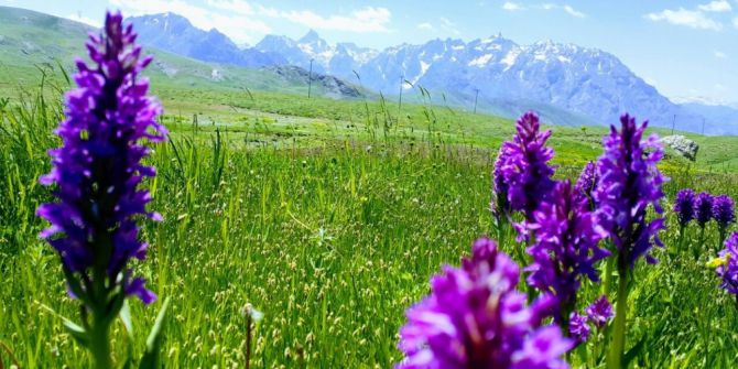 Karaca Yaylasında Ekim Başladı