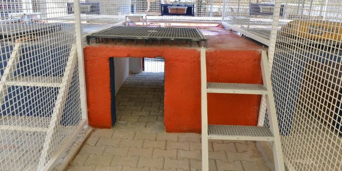 Büyükşehir’den Otel Konforunda Yeni Köpek Padokları