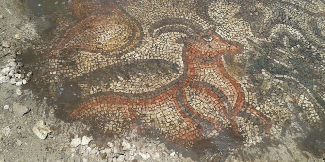 Çiftçiler Tarlada Tarihi Mozaik Buldu