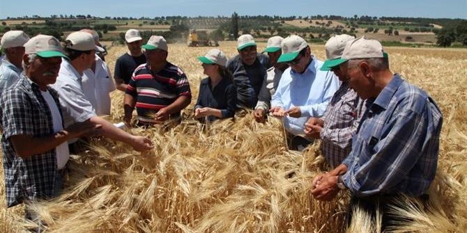 Çanakkale’de Arpa Tarla Günü Yapıldı