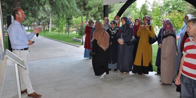 Tarih Şeridi Ve Şeyh Edebali Türbesi Misafirlerini Ağırlamaya Devam Ediyor