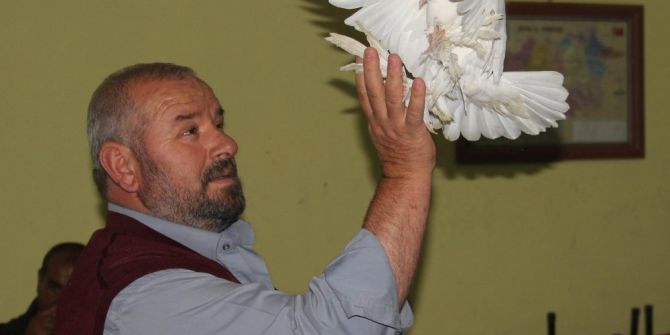 Maaşlarıyla Kuş Mezatında Açık Arttırmayla Güvercin Alıyorlar