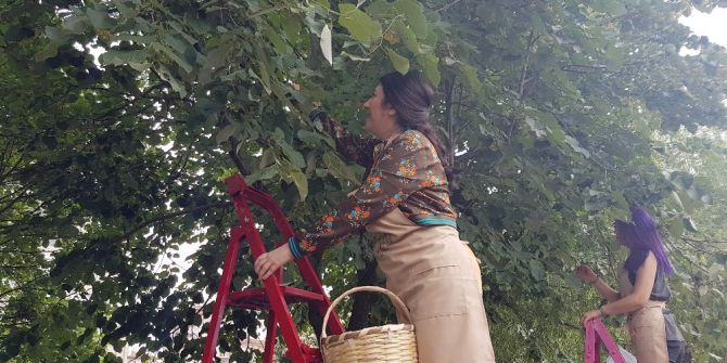 Ataşehir Ihlamur Koktu