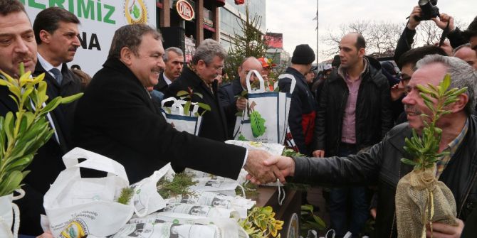 Orman Bakanlığı Türkiye’yi Yeşillendirmeye Devam Ediyor
