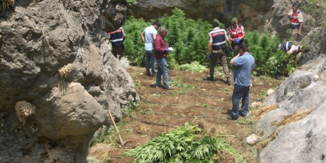 Jandarmadan “Drone” İle Kenevir Operasyonu